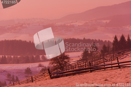 Image of winter landscape scenic  with lonely tree