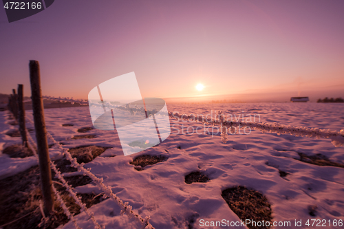 Image of barbed wire fence in winter