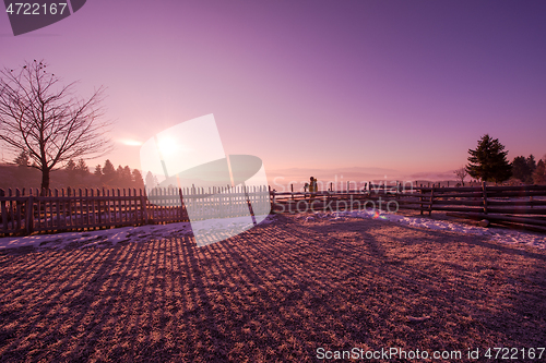 Image of winter landscape scenic  with lonely tree