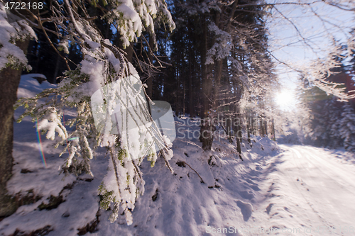 Image of winter road