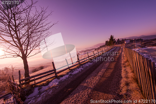 Image of winter landscape scenic  with lonely tree