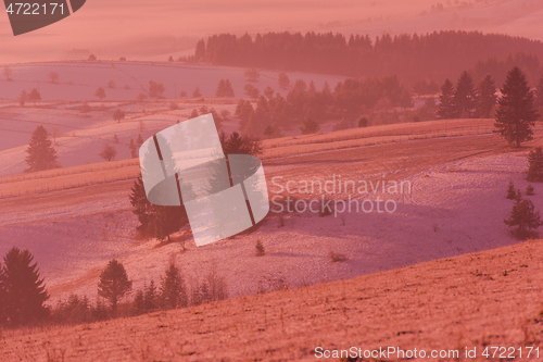 Image of winter landscape scenic  with lonely tree