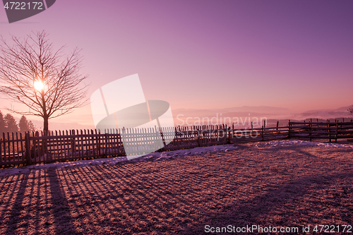 Image of winter landscape scenic  with lonely tree