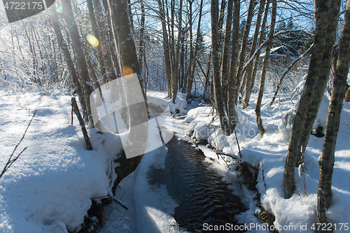 Image of winter creek ice