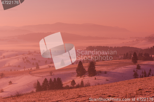 Image of winter landscape scenic  with lonely tree