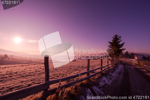 Image of winter landscape scenic  with lonely tree