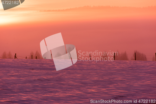 Image of winter landscape scenic  with lonely tree