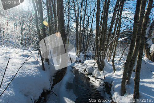 Image of winter creek ice