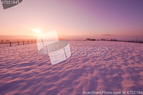 Image of winter landscape scenic  with lonely tree