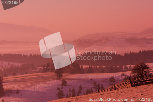 Image of winter landscape scenic  with lonely tree