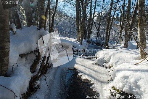 Image of winter creek ice