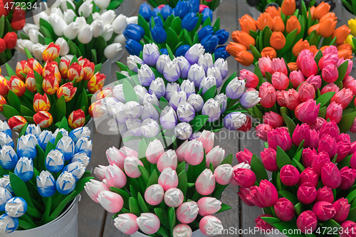 Image of Colourful Wooden Tulips