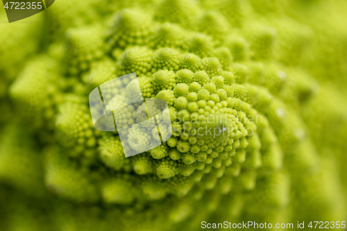 Image of close up of romanesco broccoli