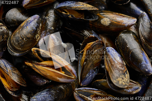 Image of Close up shot of fresh and raw sea mussels in black ceramic bowl placed on dark