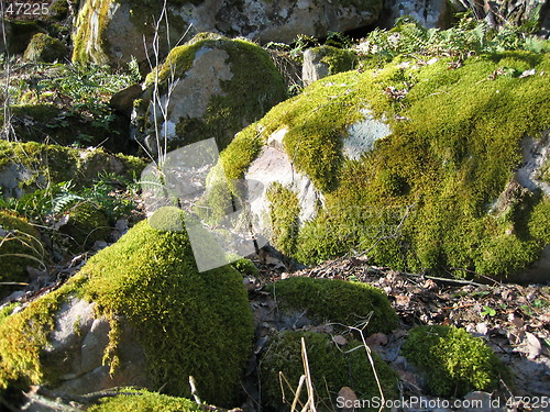 Image of Green stones