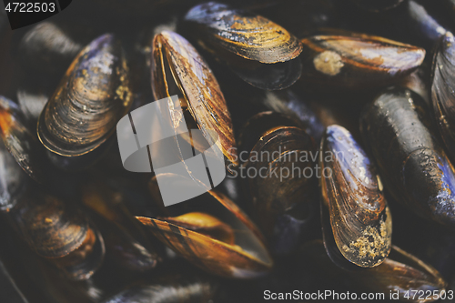 Image of Close up shot of fresh and raw sea mussels in black ceramic bowl