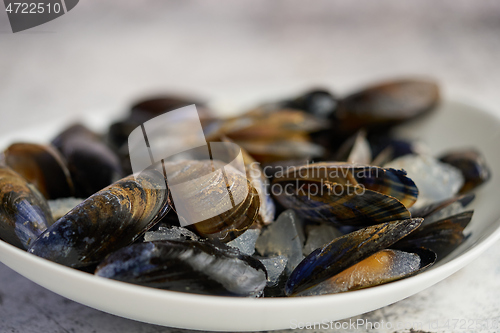 Image of Shellfish raw mussels in ceramic white bowl, placed on stone gray background