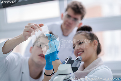 Image of Group of young medical students doing research