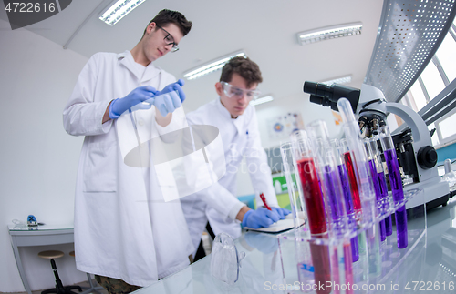 Image of Group of young medical students doing research