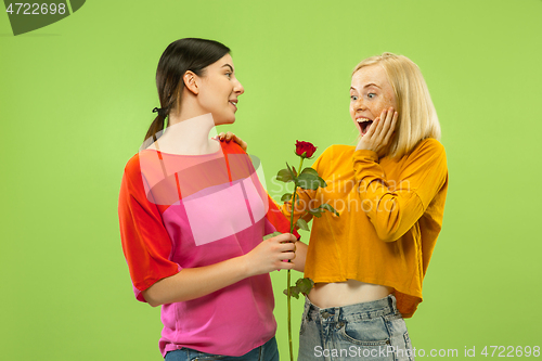 Image of Portrait of pretty girls isolated on green studio background