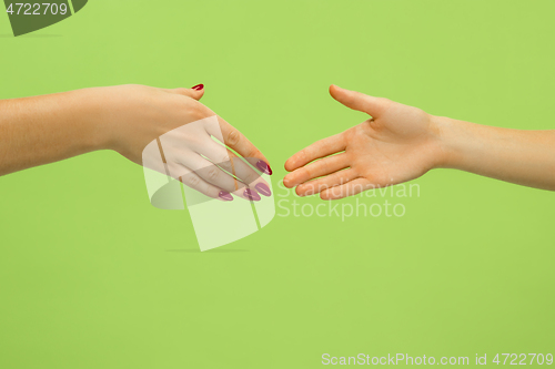 Image of Closeup shot of human holding hands isolated on green studio background.