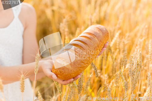 Image of hands holding loaf of white bread on cereal field