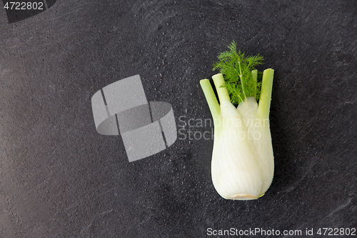 Image of fennel on table on slate stone background