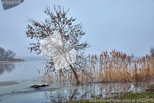 Image of Misty autumn river landscape