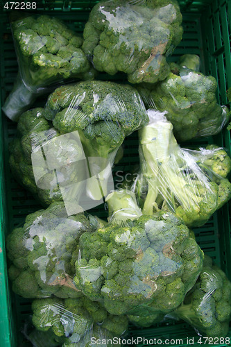 Image of Broccoli for sale.