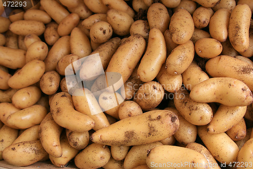 Image of Potatos for sale.