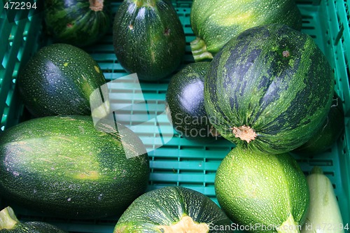 Image of Melon for sale,