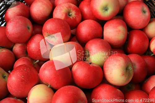 Image of Red apples for sale