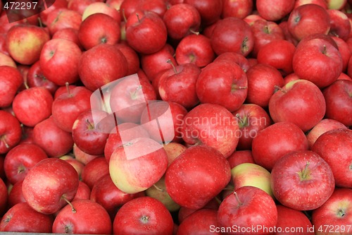 Image of Red apples for sale.