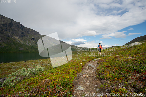 Image of Man walking