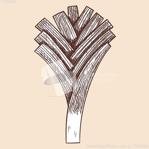 Image of Leek Onion Icon