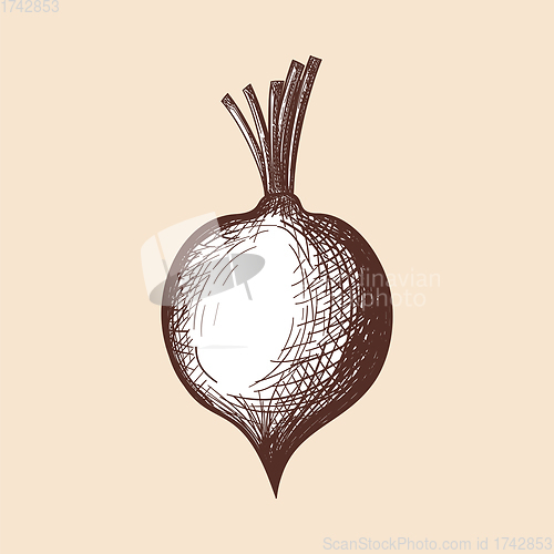 Image of Beetroot Icon