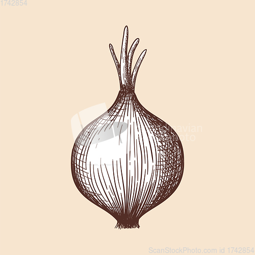 Image of Onion Icon