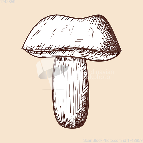 Image of Mushroom Icon