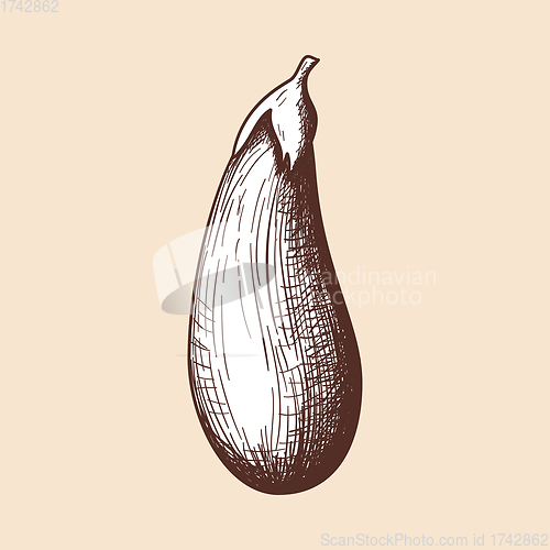 Image of Eggplant Icon