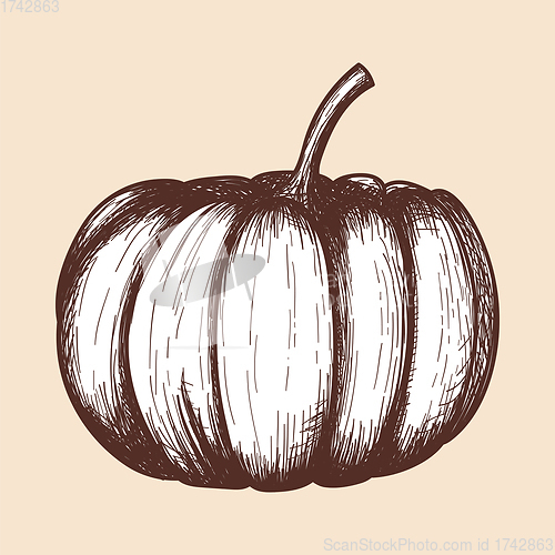 Image of Pumpkin Icon