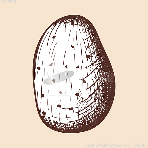 Image of Potato Icon