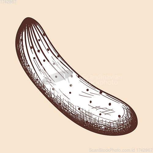 Image of Cucumber Icon