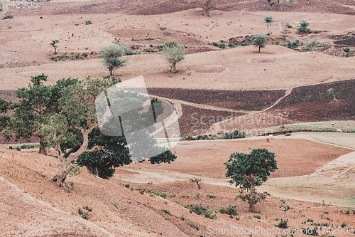 Image of landscape with field near Gondar, Ethiopia