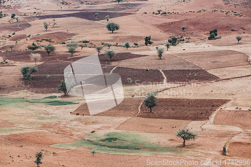 Image of landscape with field near Gondar, Ethiopia