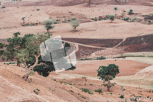 Image of landscape with field near Gondar, Ethiopia