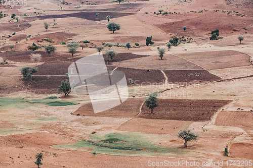 Image of landscape with field near Gondar, Ethiopia