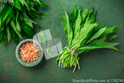 Image of Bunch of Ramson or bear leek (Allium ursinum) with pink Himalayan salt on kitchen table