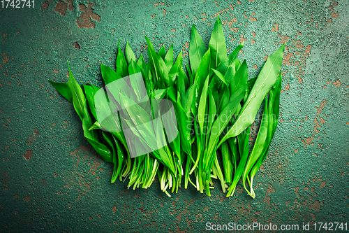 Image of Ramson or bear leek (Allium ursinum) on kitchen table