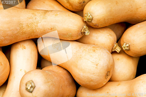 Image of Squash