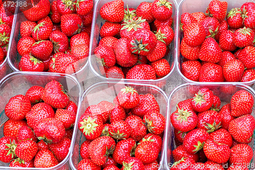 Image of Strawberries